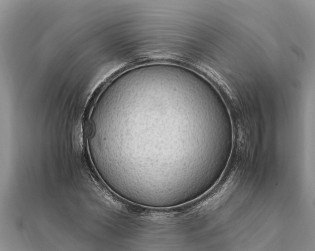 X0000112110782200908181347