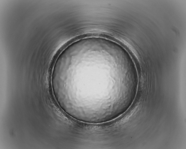 X0000112110783200908181347