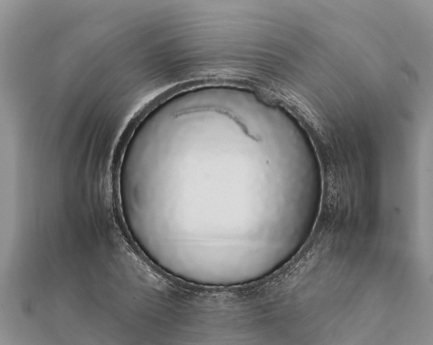 X0000112110784200908181346