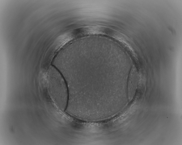 X0000112110785200908181346