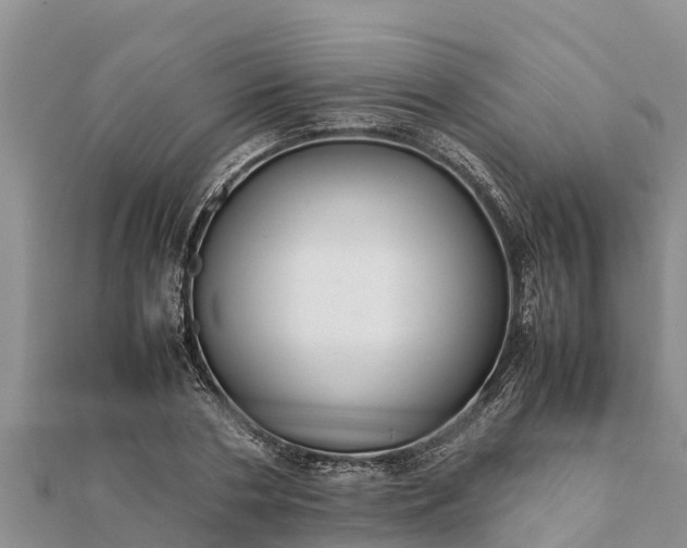 X0000112110786200908181346