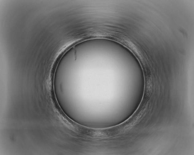 X0000112110787200908181346