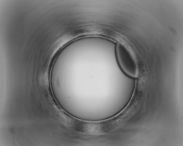 X0000112110789200908181346