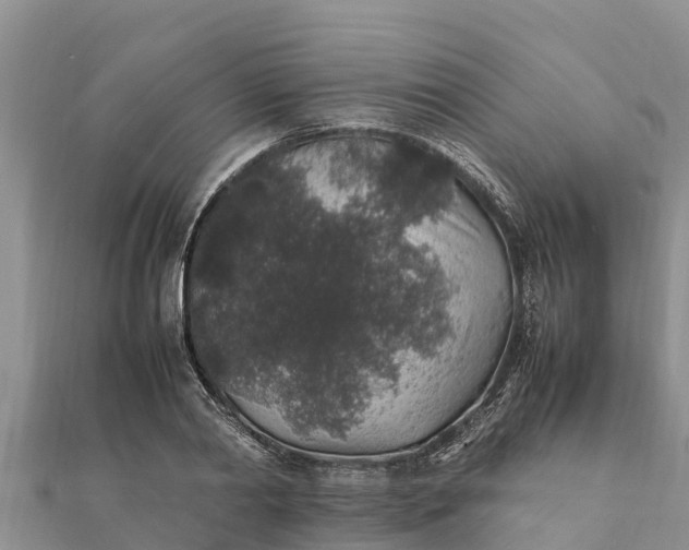 X0000112110790200908181346