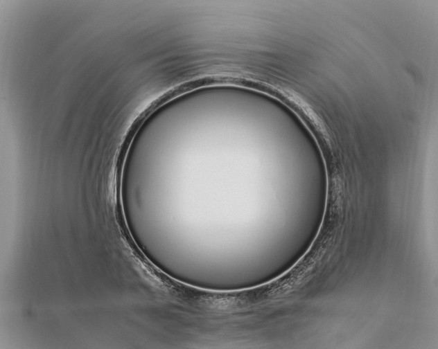 X0000112110791200908181346