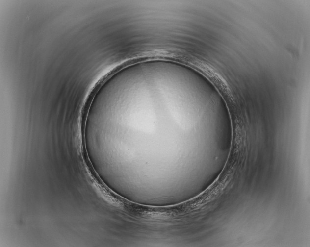 X0000112110792200908181346