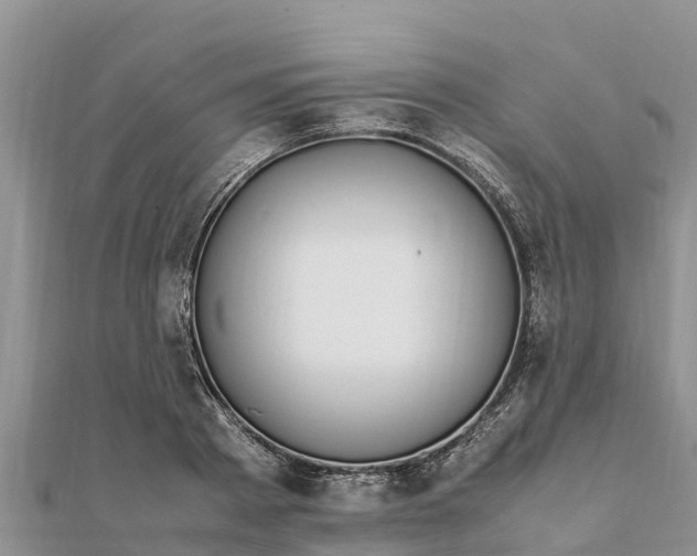 X0000112110793200908181346