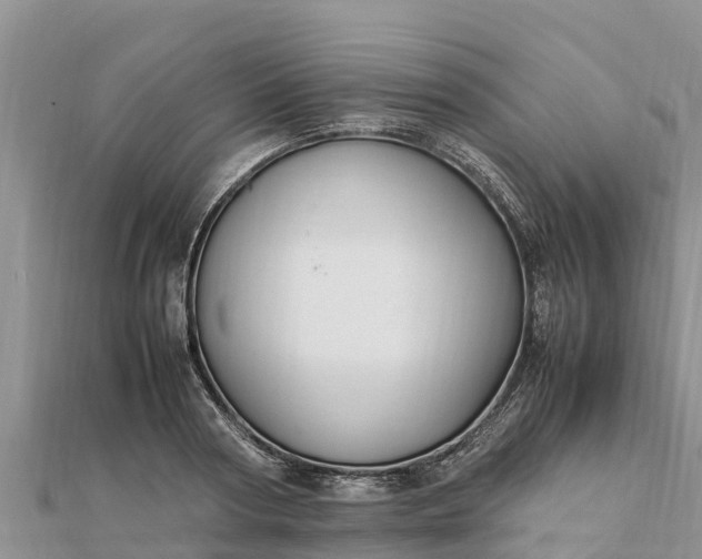 X0000112110794200908181346