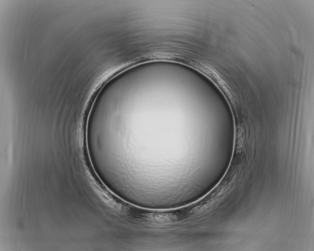 X0000112110795200908181346