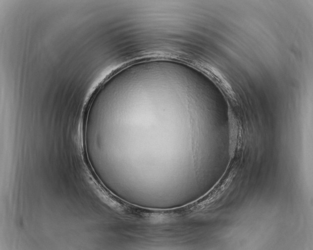 X0000112110796200908181346