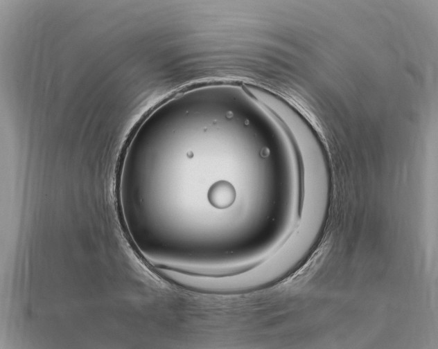 X0000112110797200908181346