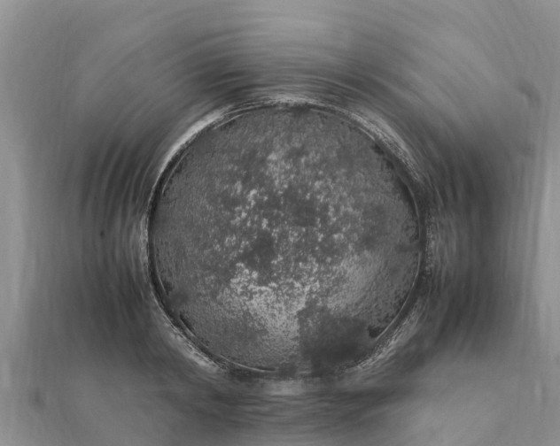 X0000112110798200908181346