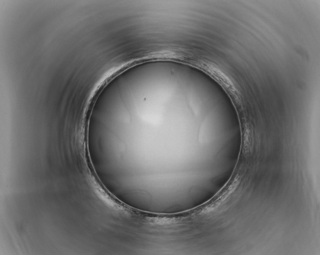 X0000112110800200908181346