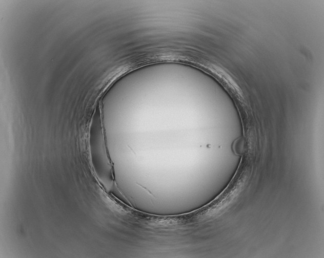 X0000112110801200908181346