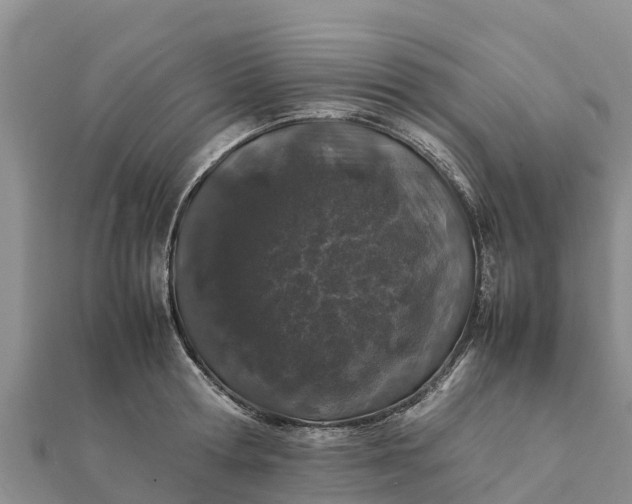 X0000112110802200908181346