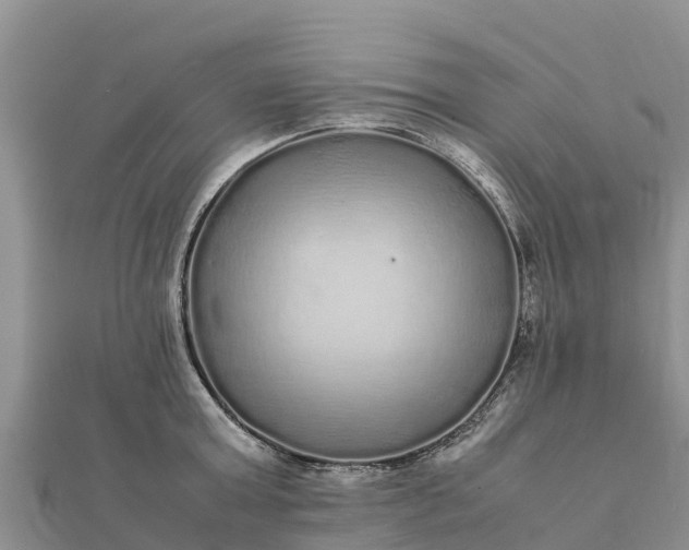 X0000112110803200908181346