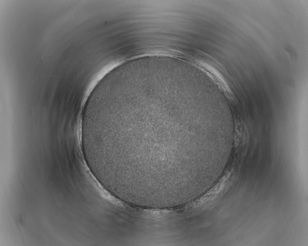 X0000112110804200908181346