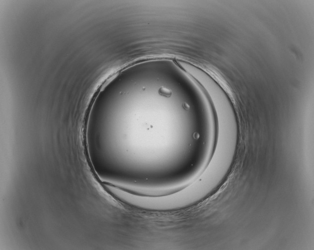 X0000112110805200908181346