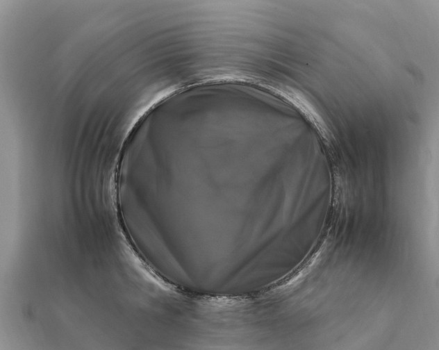 X0000112110806200908181346