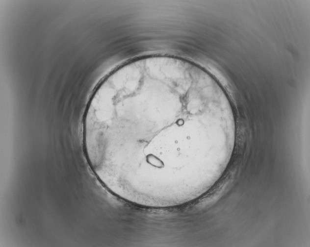 X0000112110807200908181346