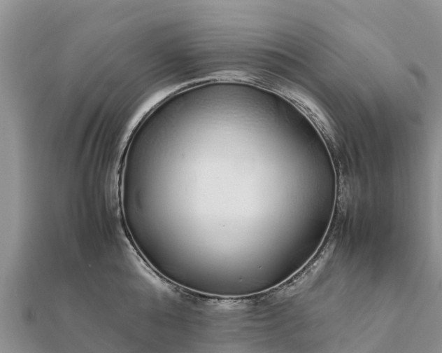 X0000112110808200908181346