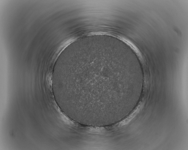 X0000112110809200908181346