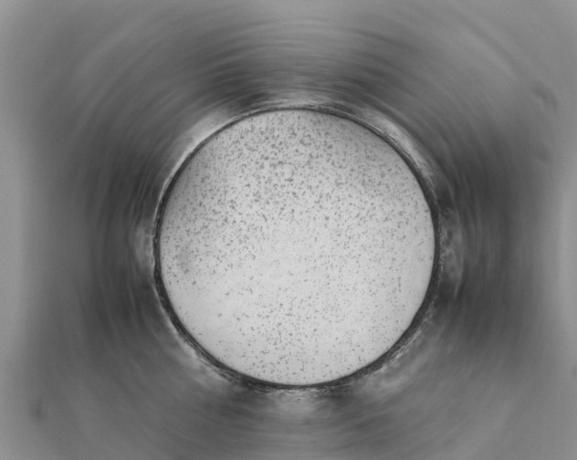 X0000112110810200908181346