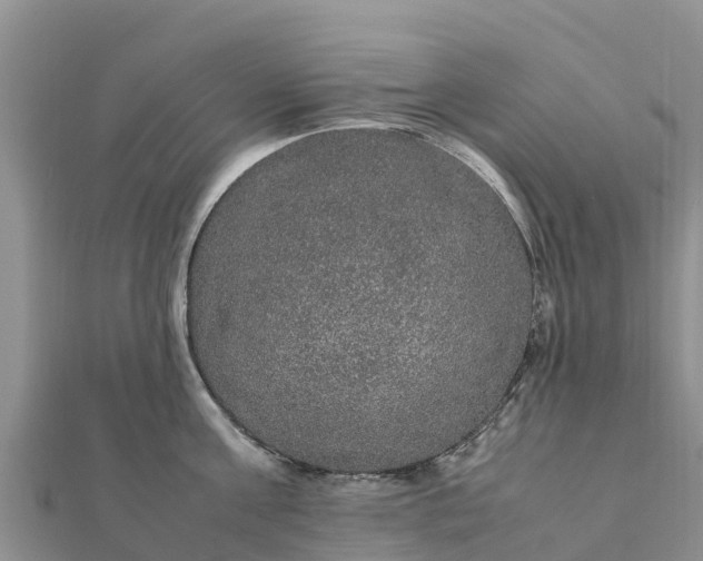 X0000112110811200908181346