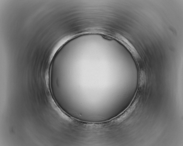 X0000112110812200908181346