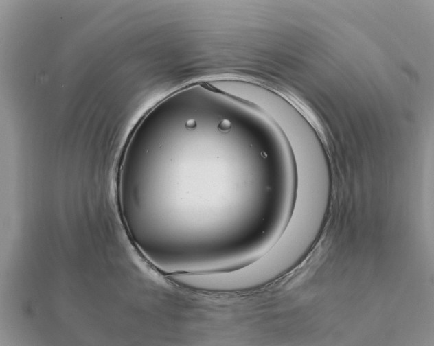 X0000112110813200908181346