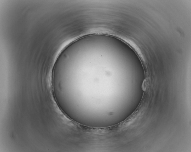 X0000112110815200908181346