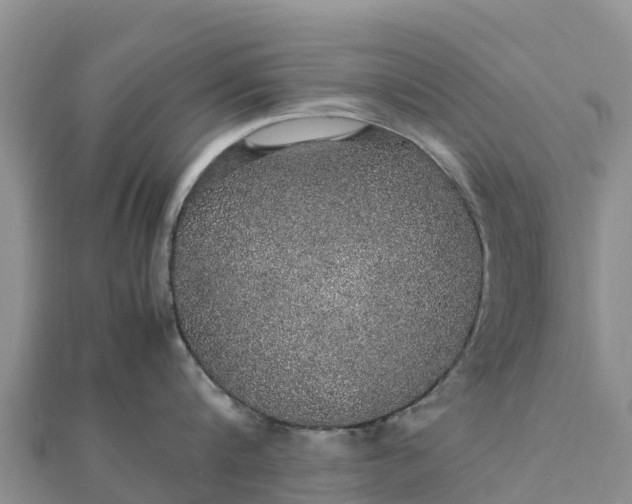 X0000112110816200908181346