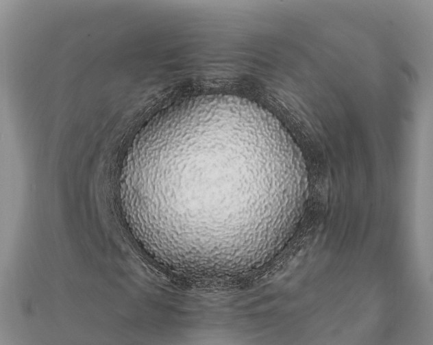 X0000112110817200908181345