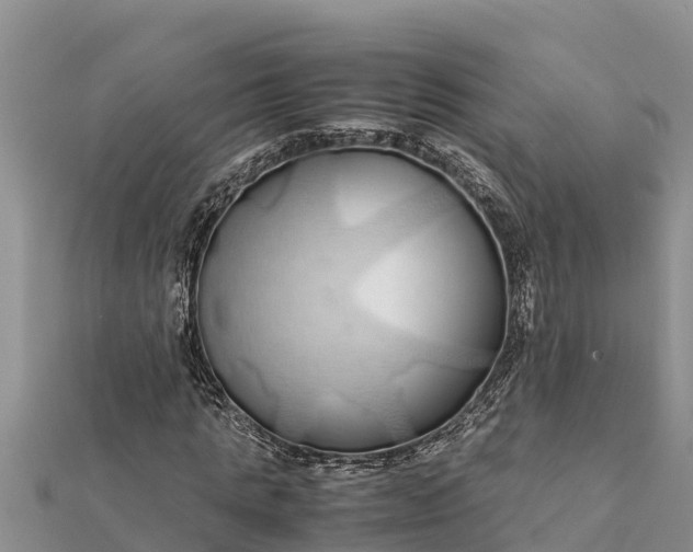 X0000112110821200908181345