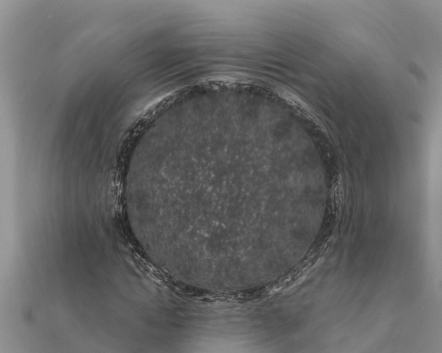 X0000112110822200908181345