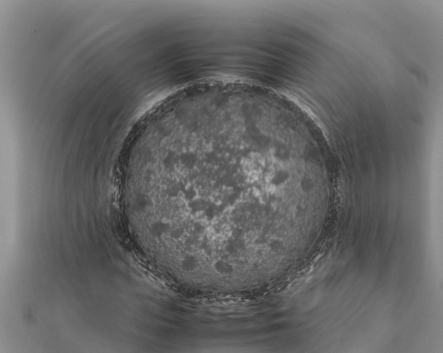 X0000112110823200908181345