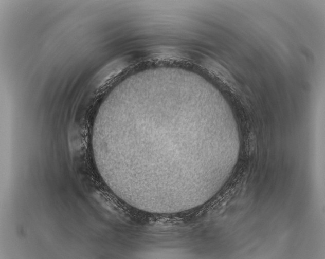 X0000112110824200908181345