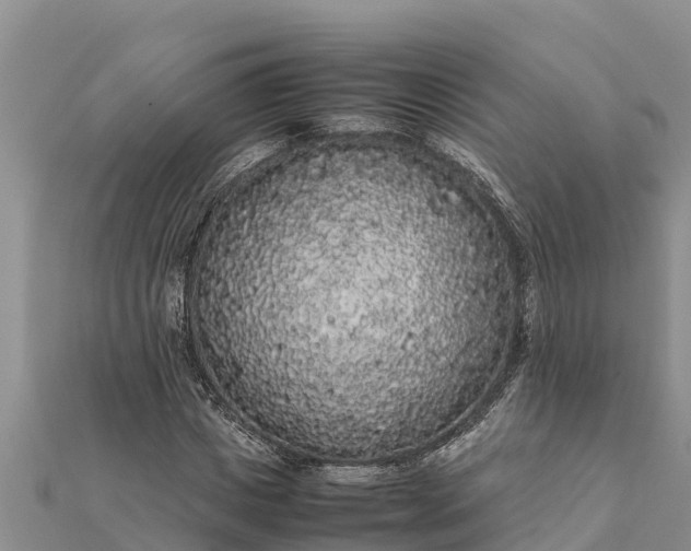 X0000112110825200908181345