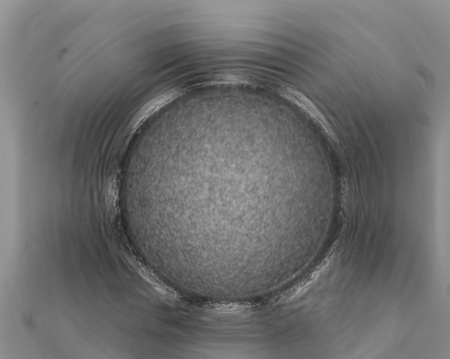 X0000112110826200908181345