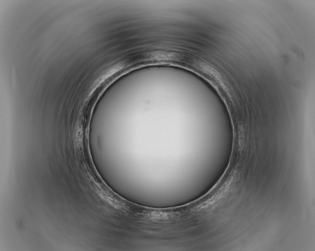 X0000112110827200908181345