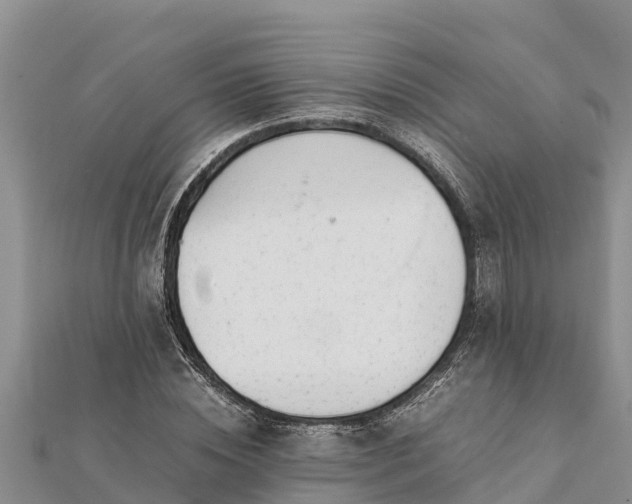 X0000112110828200908181345