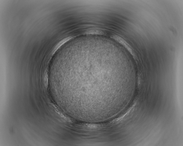 X0000112110829200908181345