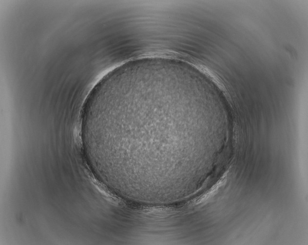 X0000112110830200908181345