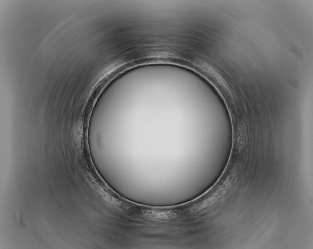 X0000112110831200908181345