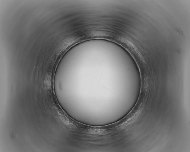 X0000112110833200908181346