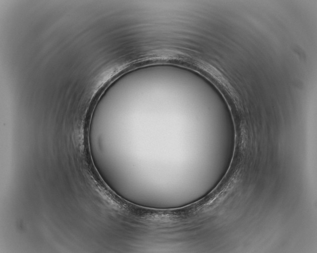 X0000112110834200908181346