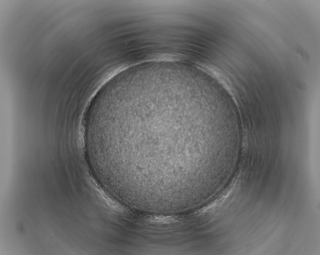 X0000112110835200908181346