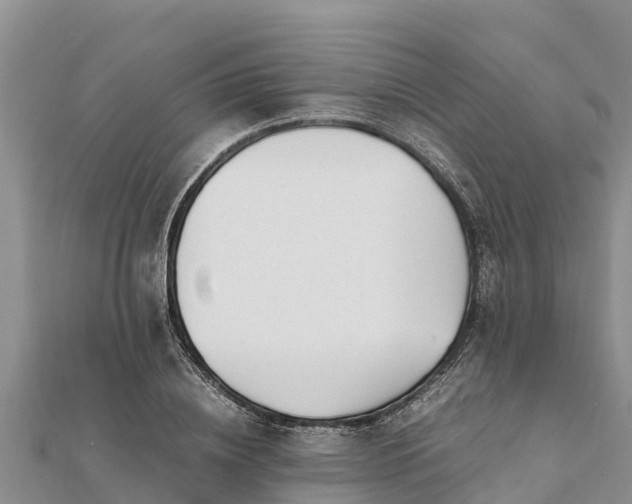 X0000112110836200908181346