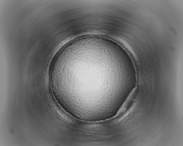 X0000112110837200908181346