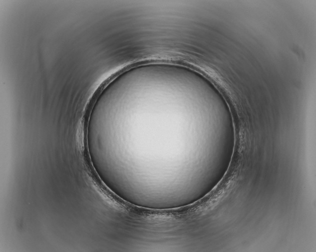 X0000112110838200908181346